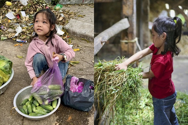 Cô bé mồ côi 6 tuổi phụ bà bán rau được Mạnh Thường Quân ủng hộ 250 triệu, diễn biến sau đó quá bất ngờ